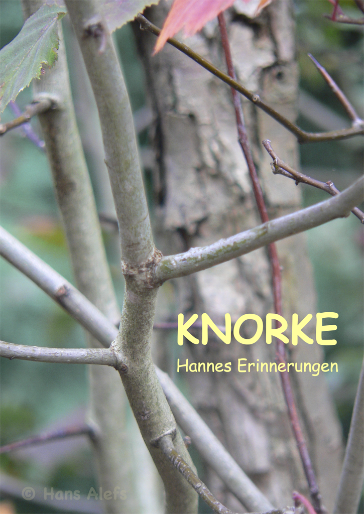 KNORKE_VORNE_1024